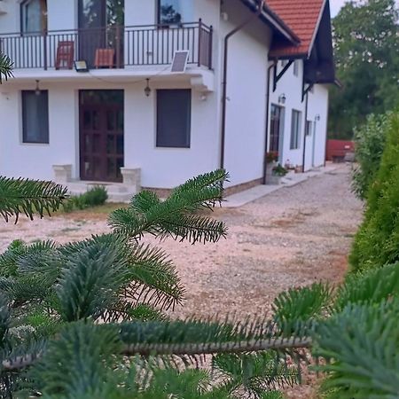 Pensiunea Cretisoara Cîmpulung Extérieur photo